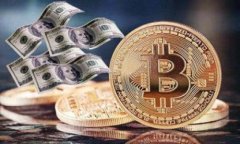 如何将区块链钱包成功接