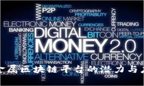 探索贵金属区块链平台的潜力与应用前景