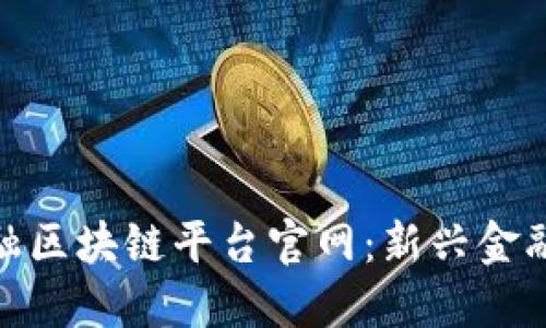 探索大通金融区块链平台官网：新兴金融科技的先锋