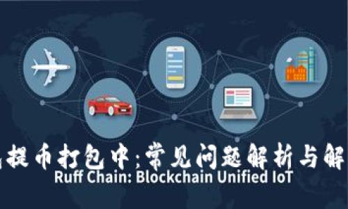 TP钱包提币打包中：常见问题解析与解决方案