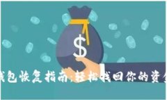 优质TP电子钱包恢复指南：轻松找回你的资金和数