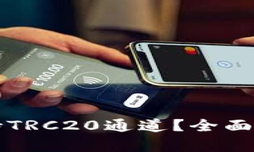 TP钱包是否支持TRC20通道？全面解析与使用指南